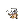 cubone front