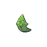 metapod front