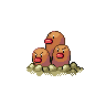 dugtrio front