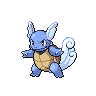 wartortle front