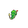 caterpie back