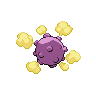 koffing back