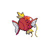 magikarp back