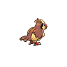 pidgey back