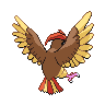 pidgeotto back