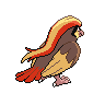 pidgeot back