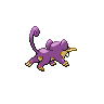 rattata back