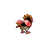 spearow back