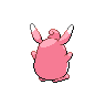 wigglytuff back