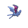 zubat back