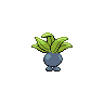 oddish back