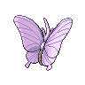 venomoth back