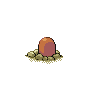 diglett back