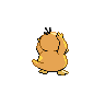 psyduck back