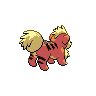 growlithe back