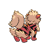 arcanine back