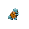 squirtle back