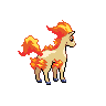 ponyta back