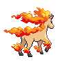 rapidash back