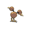 doduo back