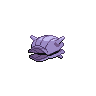 shellder back